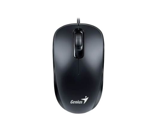 Mouse Genius DX-110,USB-C Black