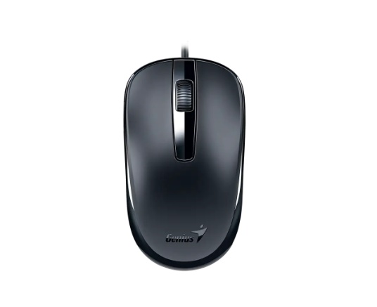 Mouse Genius DX-120,USB-C Black