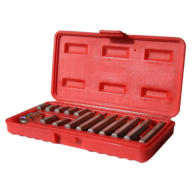 Juego de 15 Puntas Torx T20 A T55 Crossmaster
